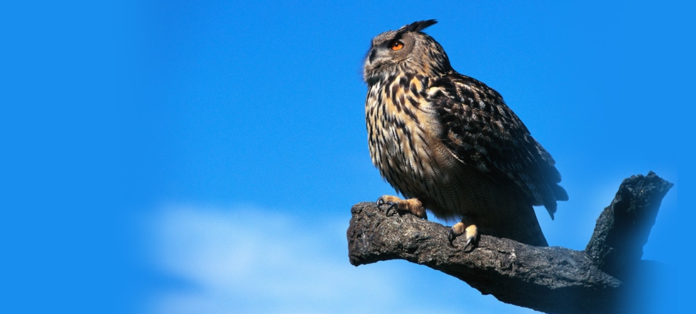 AHBI - Asset Management